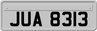 JUA8313