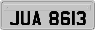 JUA8613