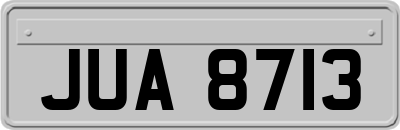 JUA8713