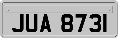 JUA8731