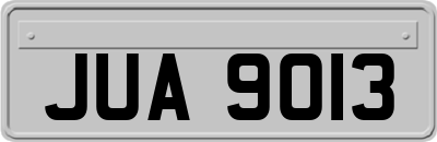 JUA9013