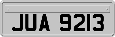 JUA9213