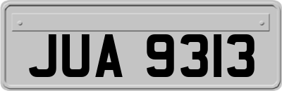 JUA9313