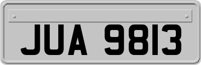 JUA9813