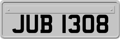 JUB1308