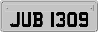 JUB1309