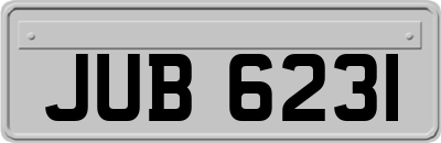 JUB6231