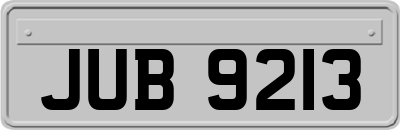 JUB9213