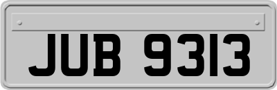 JUB9313