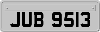 JUB9513