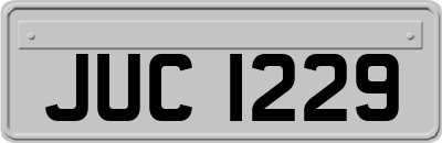 JUC1229