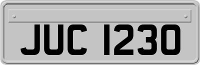 JUC1230
