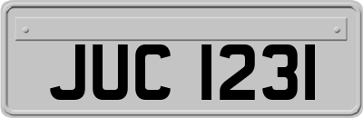 JUC1231