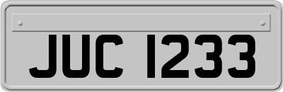 JUC1233