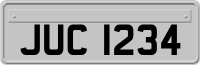 JUC1234