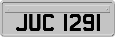 JUC1291