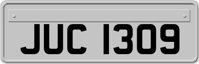 JUC1309