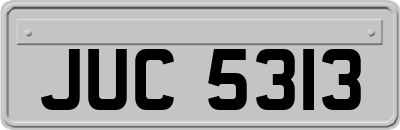 JUC5313