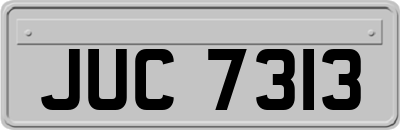 JUC7313