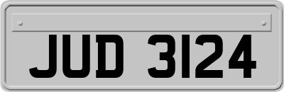 JUD3124