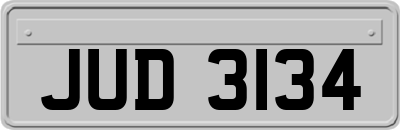 JUD3134