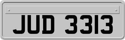 JUD3313