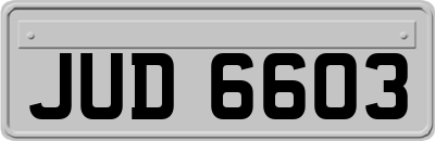 JUD6603