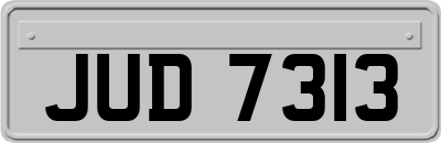 JUD7313