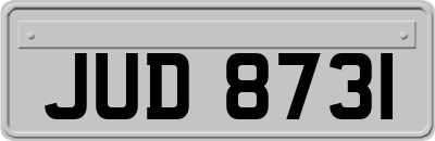 JUD8731