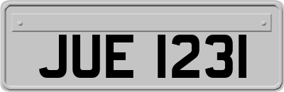 JUE1231