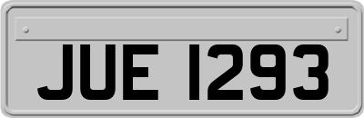 JUE1293