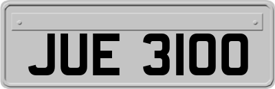 JUE3100
