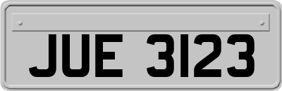 JUE3123