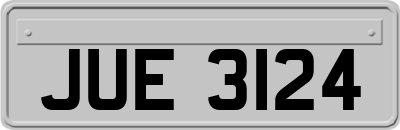 JUE3124