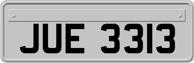 JUE3313