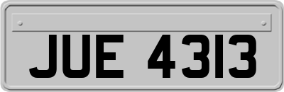 JUE4313