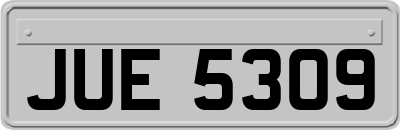 JUE5309