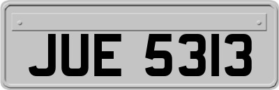 JUE5313