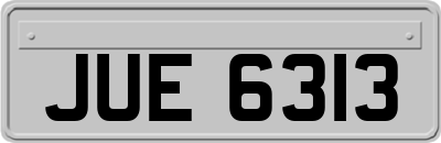 JUE6313