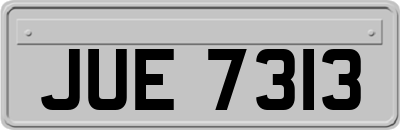 JUE7313