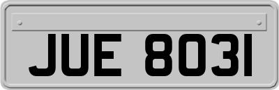 JUE8031