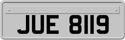 JUE8119