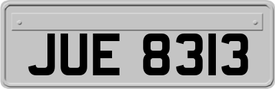 JUE8313