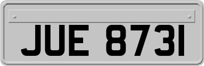 JUE8731