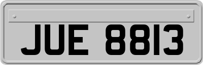 JUE8813