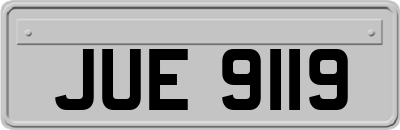 JUE9119