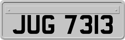 JUG7313