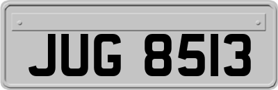 JUG8513