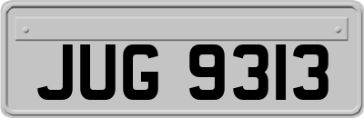 JUG9313