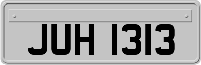 JUH1313